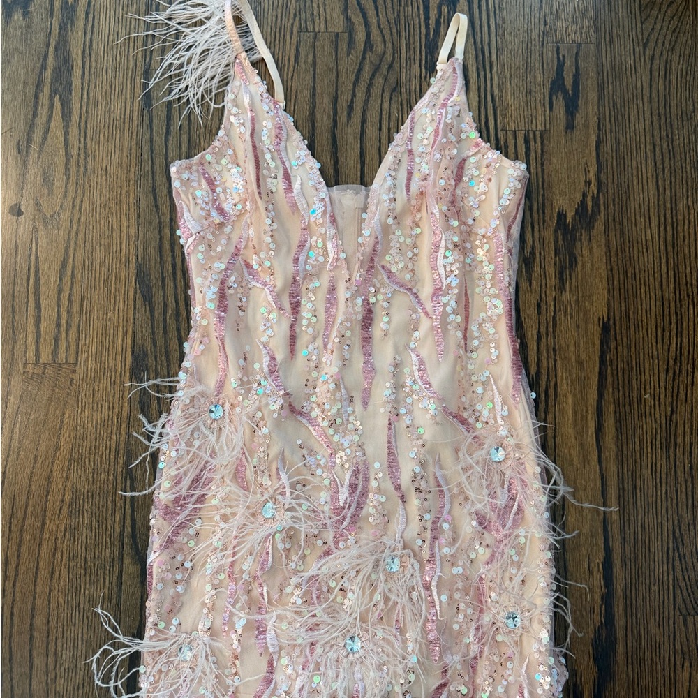 Bella Barnett Klauda Pink Mini Sequin and Feather Embellished Dress